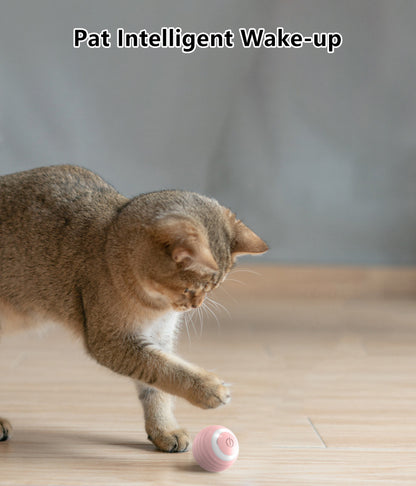 Smart Interactive Cat Ball